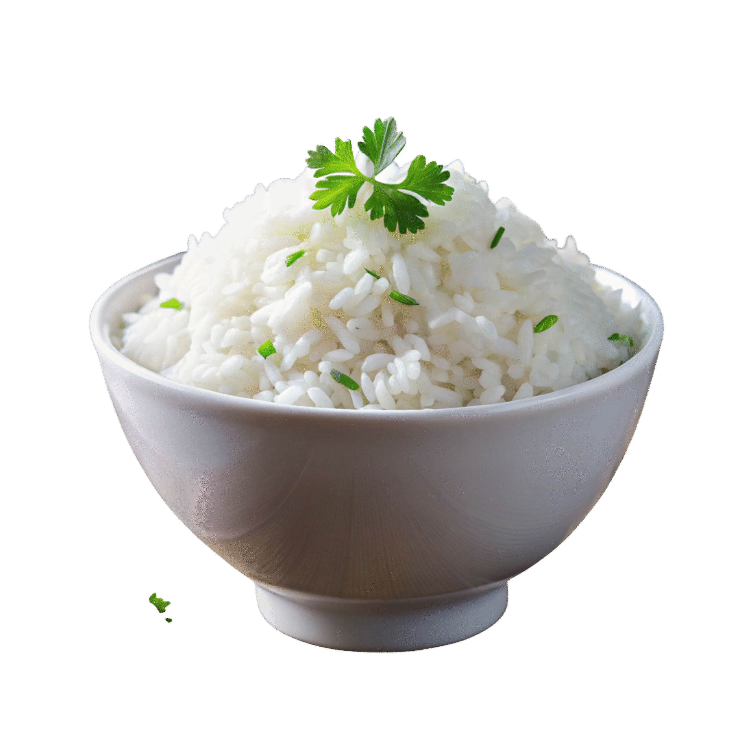 Basmati Rice
